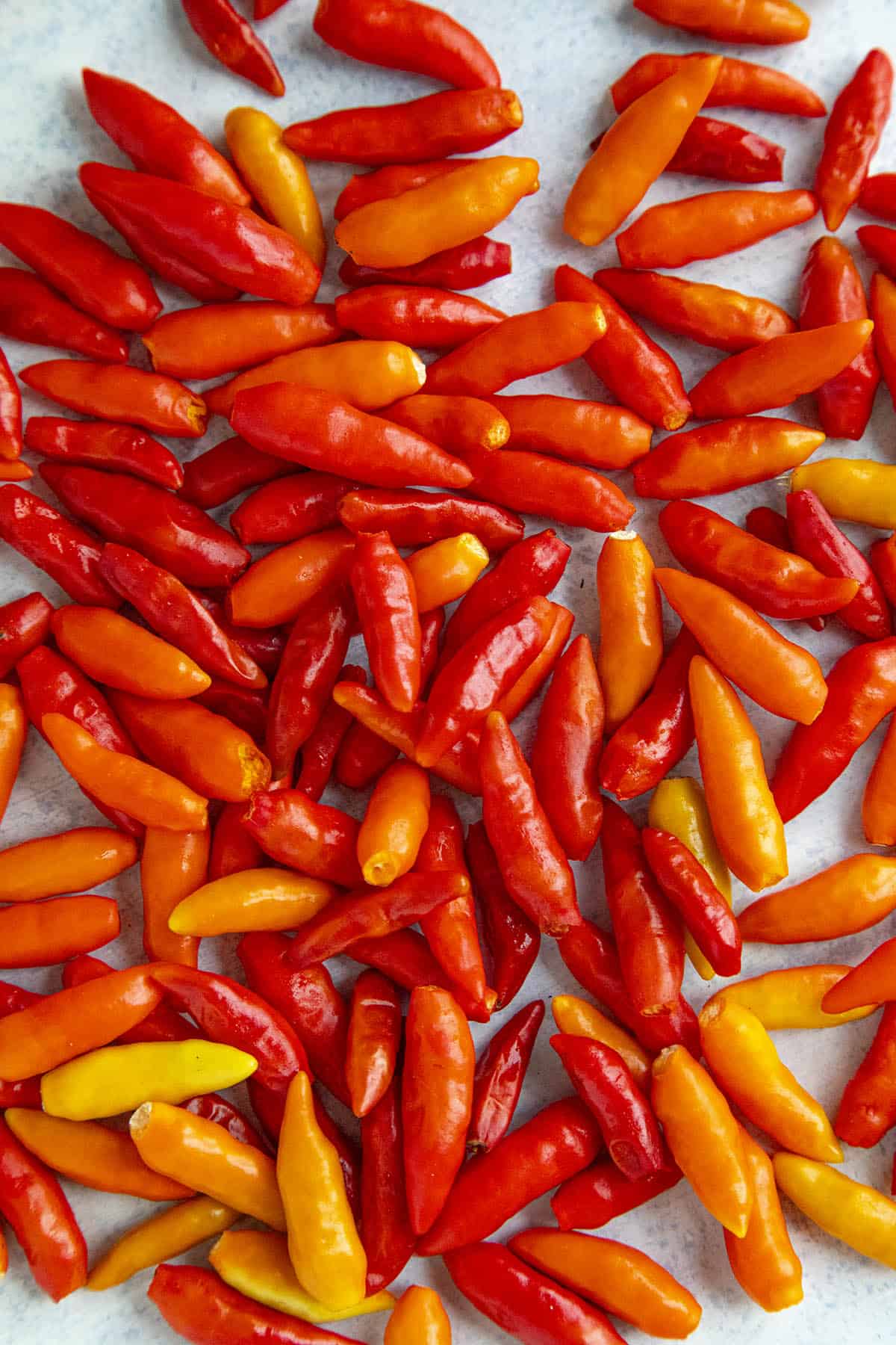AJI TABASCO / HOT CHILLI PEPPERS