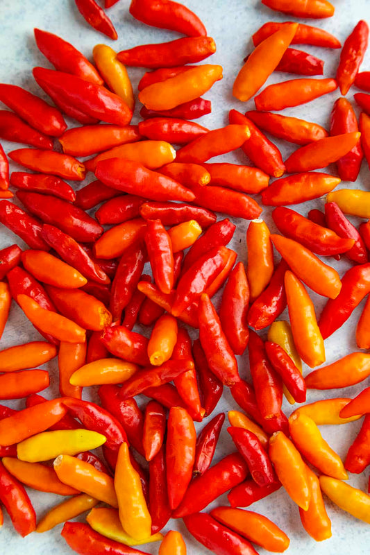 AJI TABASCO / HOT CHILLI PEPPERS